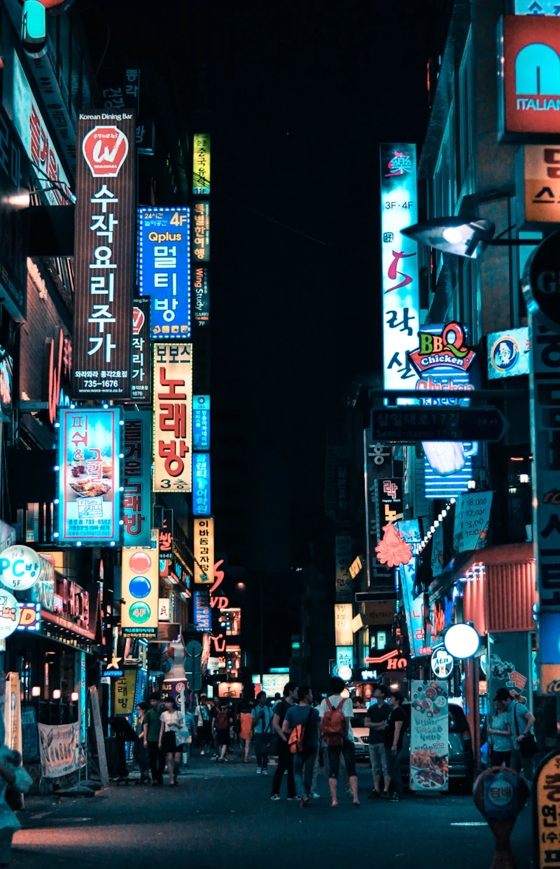 Korean visa guides
